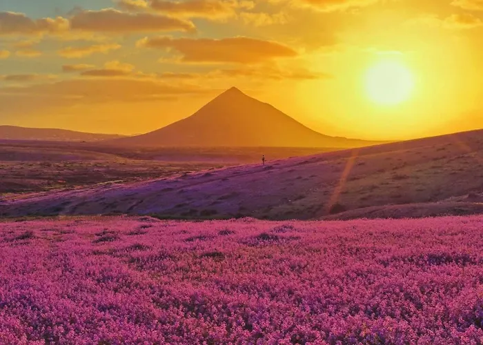 Rest House Appartamento *